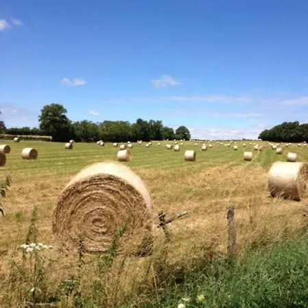 D'hotes Chez Juredieu فندق مبيت وإفطار