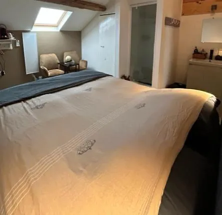 D'hotes Chez Juredieu 3* Monétay-sur-Loire