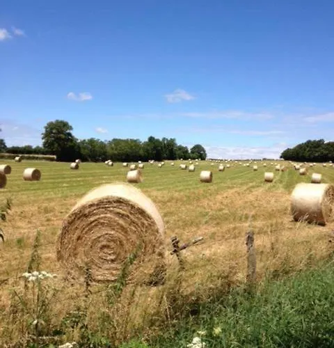 D'hotes Chez Juredieu Bed & Breakfast